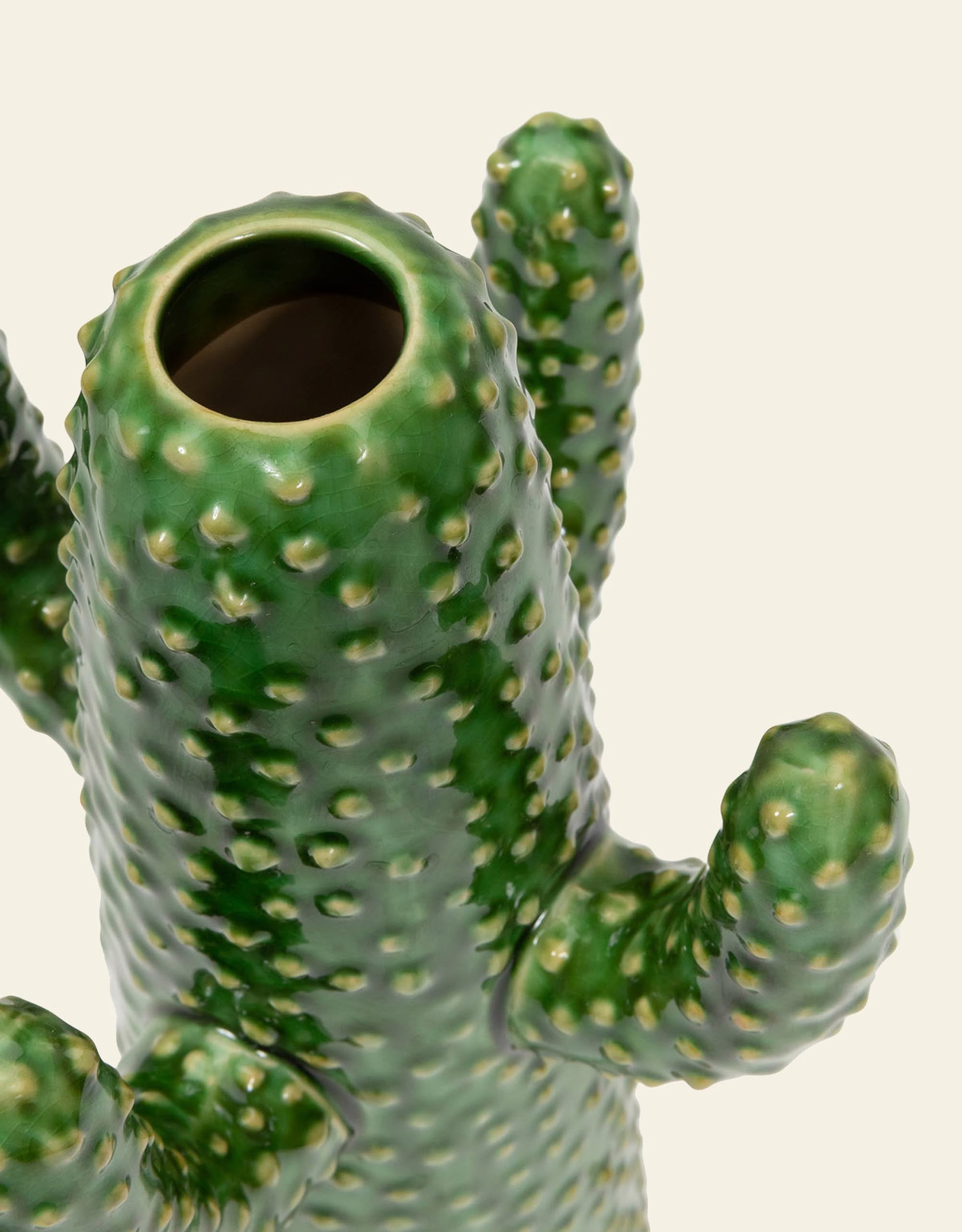 Serax Urban Jungle Cactus Vase M Green