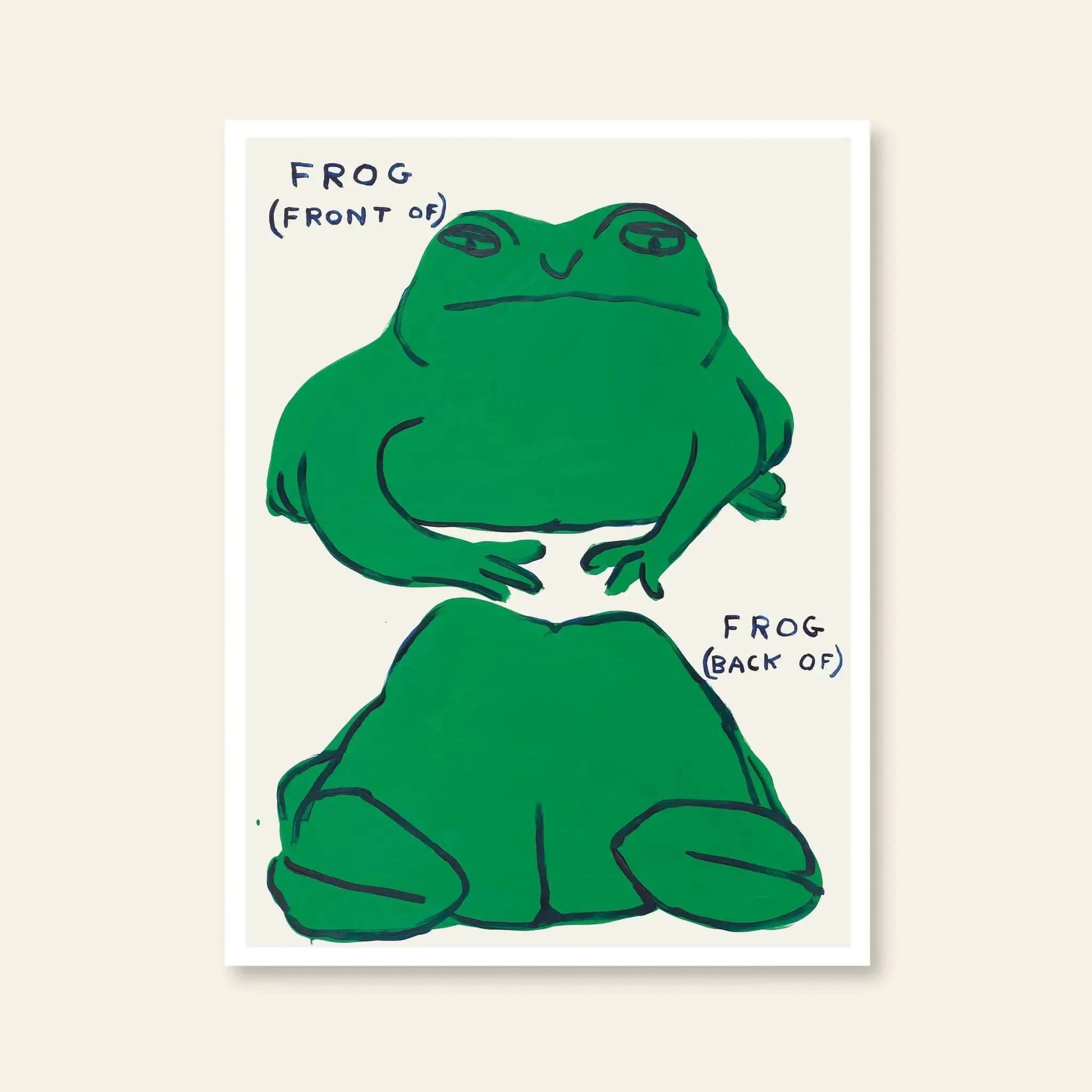 The Shrig Shop David Shrigley - Frog (Front Of), Frog (Back Of) (60x80) poster features a playful frog shown from the front and back, in classic Shrigley style, highlighting its face and belly above, and back and legs below.