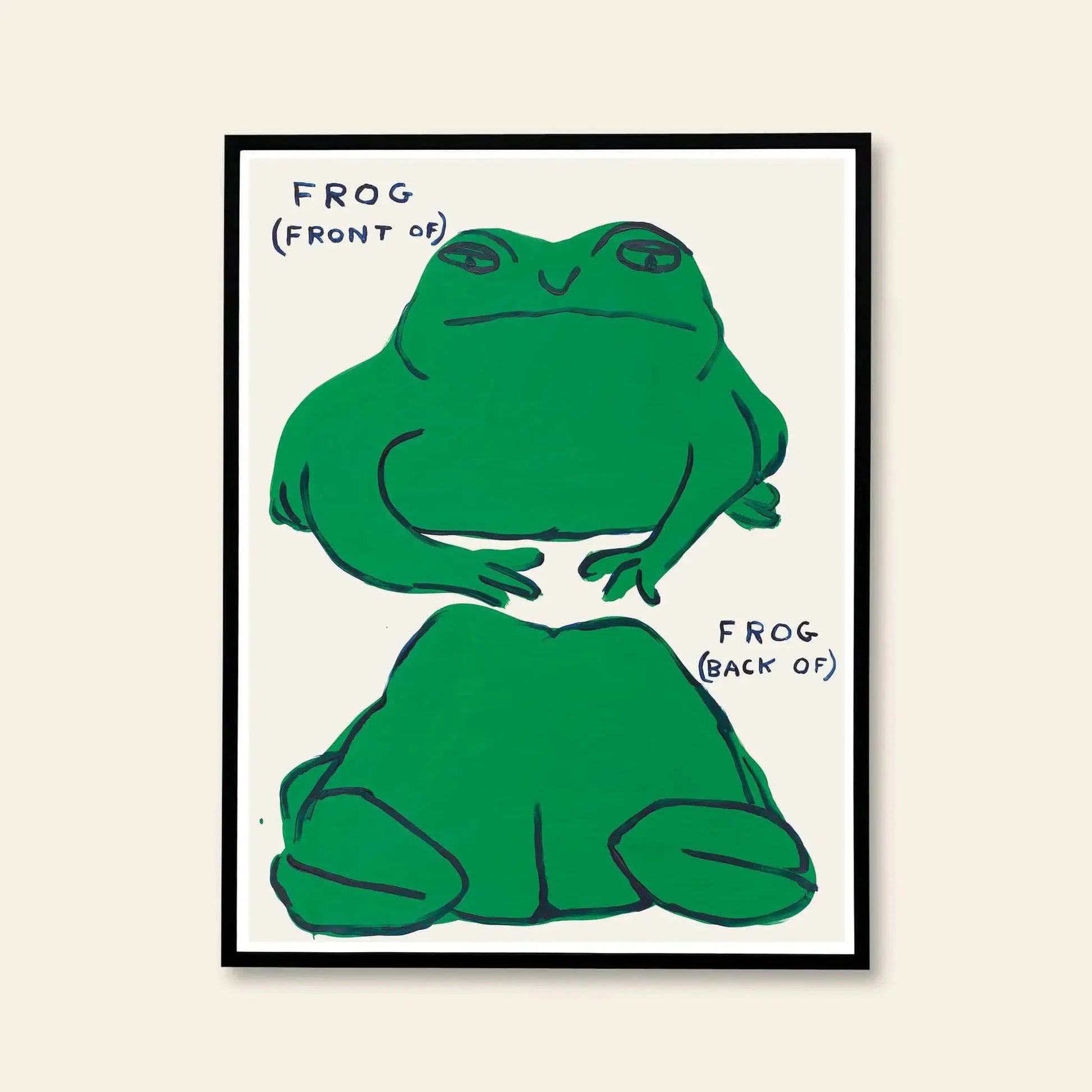 The Shrig Shop David Shrigley - Frog (Front Of), Frog (Back Of) (60x80) features framed illustrations of a green frog from the front and back, perfect as a unique large-format poster for fans of Shrig Shop.