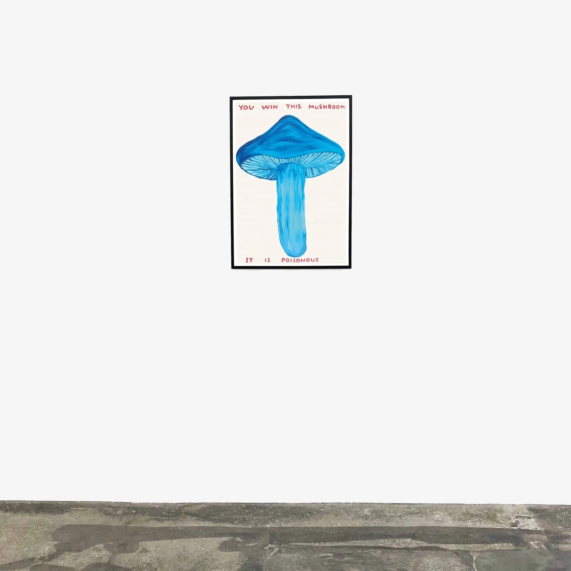 Shrig Shop David Shrigley You Win This Mushroom 60x80 Poster 3