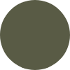 Color Image