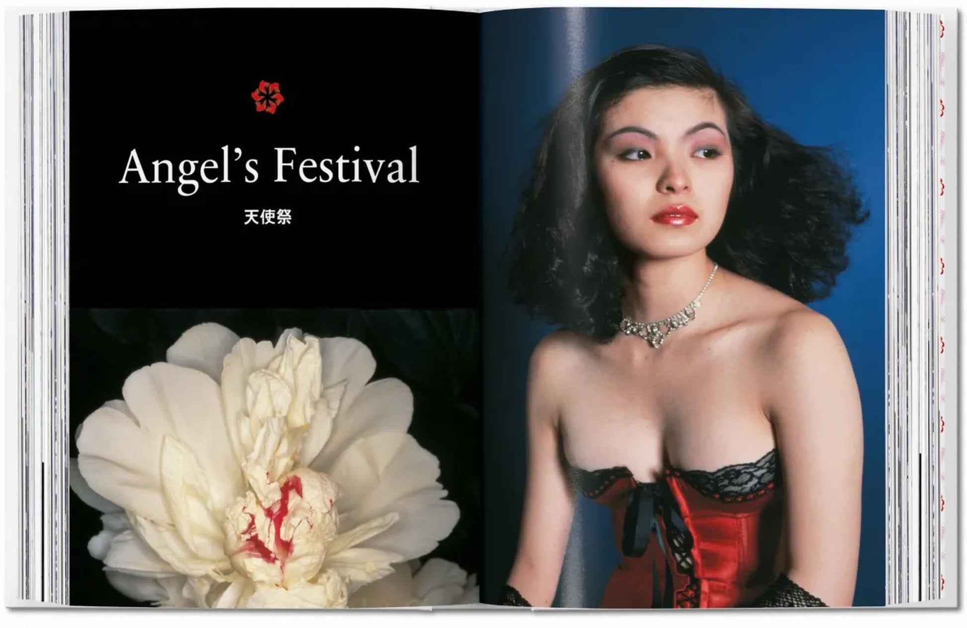 A spread from TASCHEN Araki (40th Edition) by TASCHEN shows the title Angel’s Festival above Chinese characters, with a white flower on the left and a woman in a red and black corset, inspired by Japanese bondage art, on a blue background.