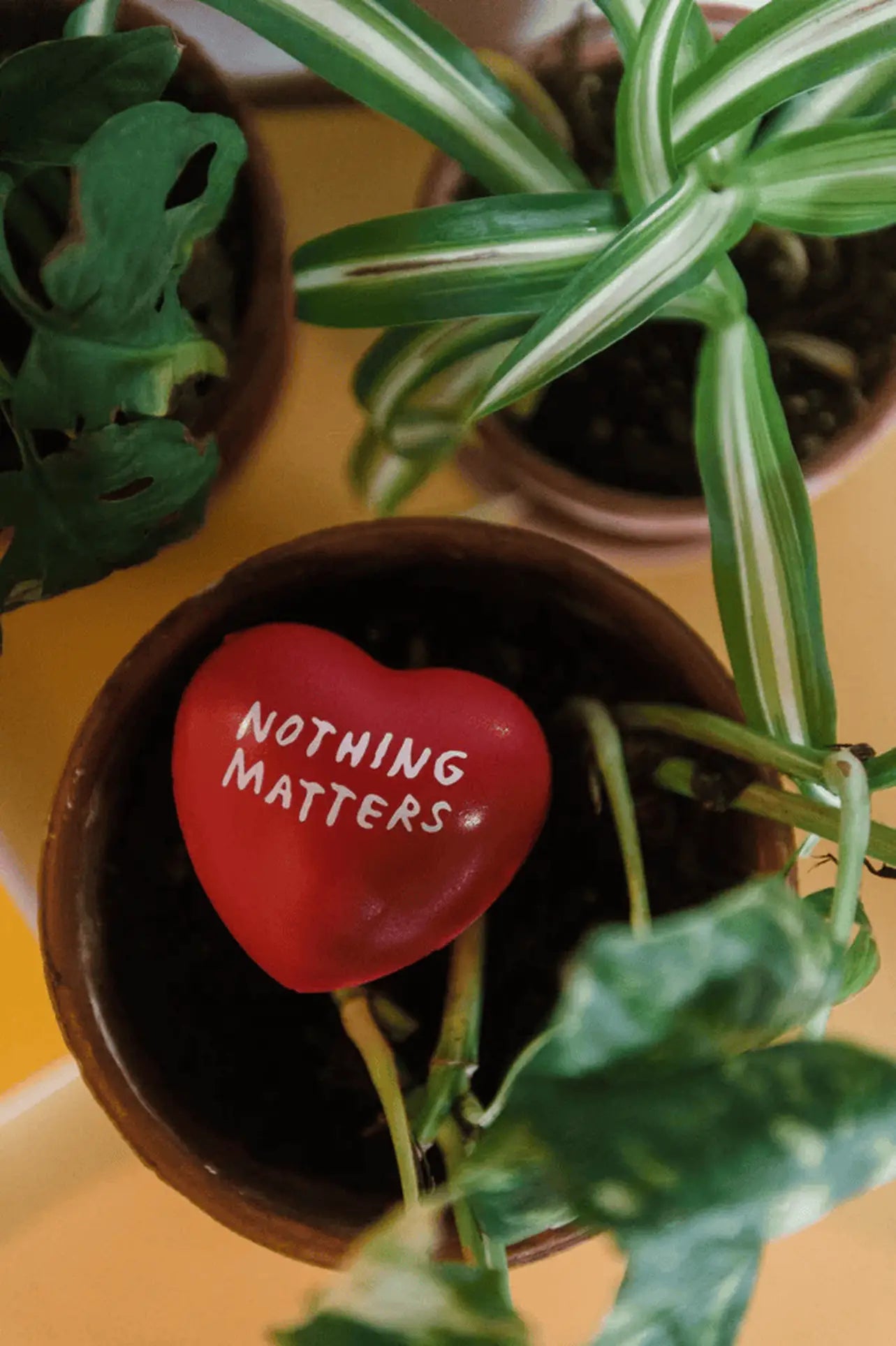 The Third Drawer Down Adam JK - Nothing Matters Stress Toy, a small red heart-shaped squishy by Third Drawer Down, sits among green leaves in a plant pot, providing a comforting tactile touch.