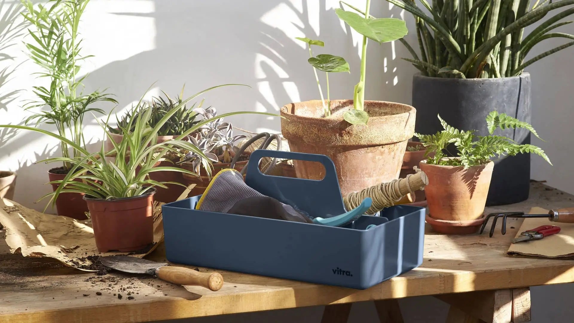 A wooden table with potted plants, gardening tools, spilled soil, and a blue Vitra Toolbox RE by Vitra, made from recycled ABS plastic and holding gloves and a trowel, all bathed in bright natural sunlight.