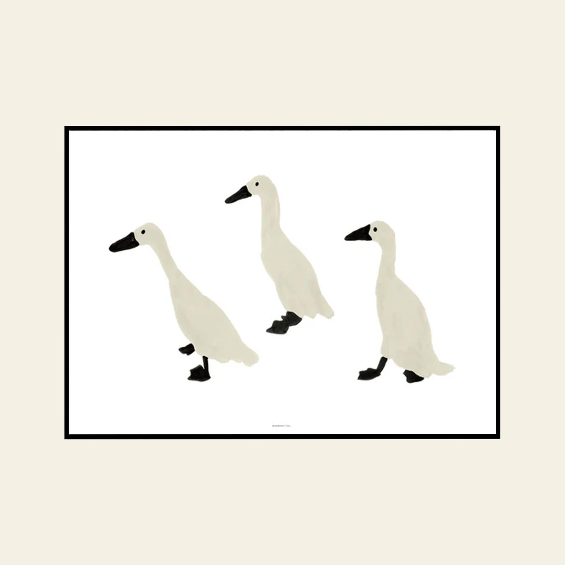 WARMGREY TAIL Indian Runner Ducks Poster (30x40)