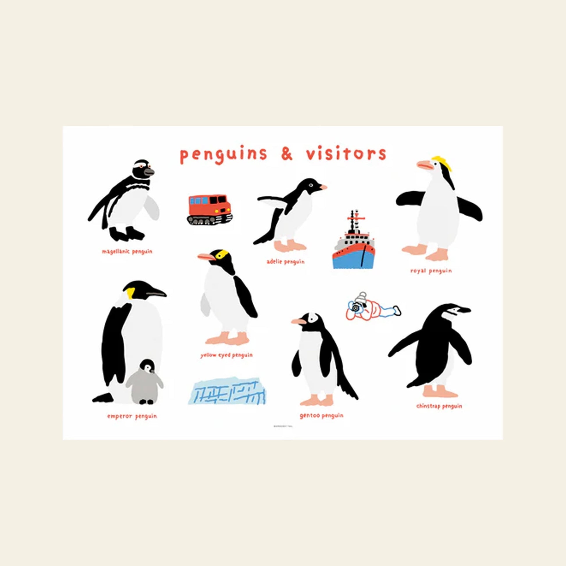 WARMGREY TAIL Penguins & Visitors Poster (30x40)