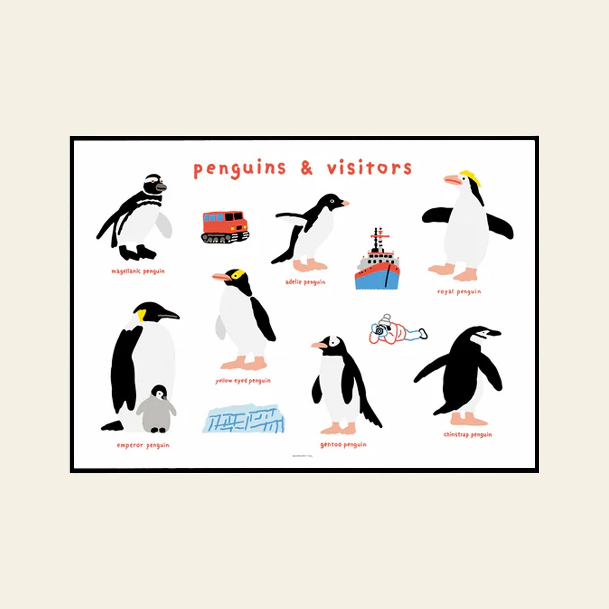 WARMGREY TAIL Penguins & Visitors Poster (30x40)
