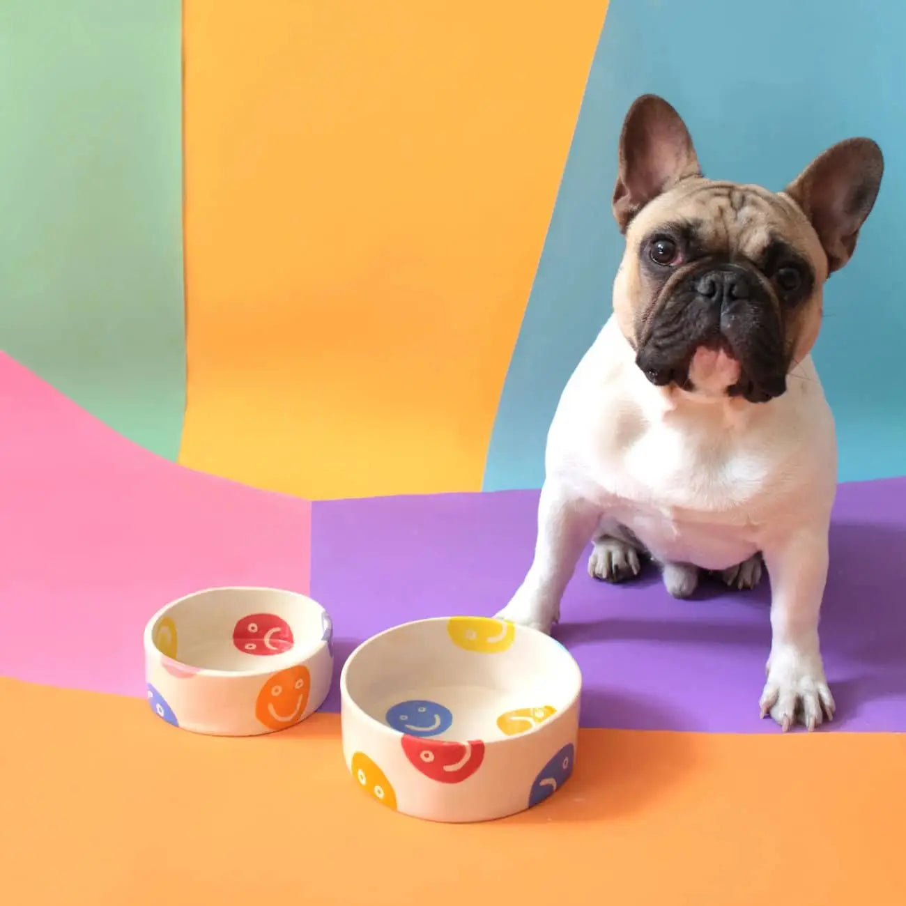 Wobbly Studio Doggo Bowl Bigger Multicolour 5