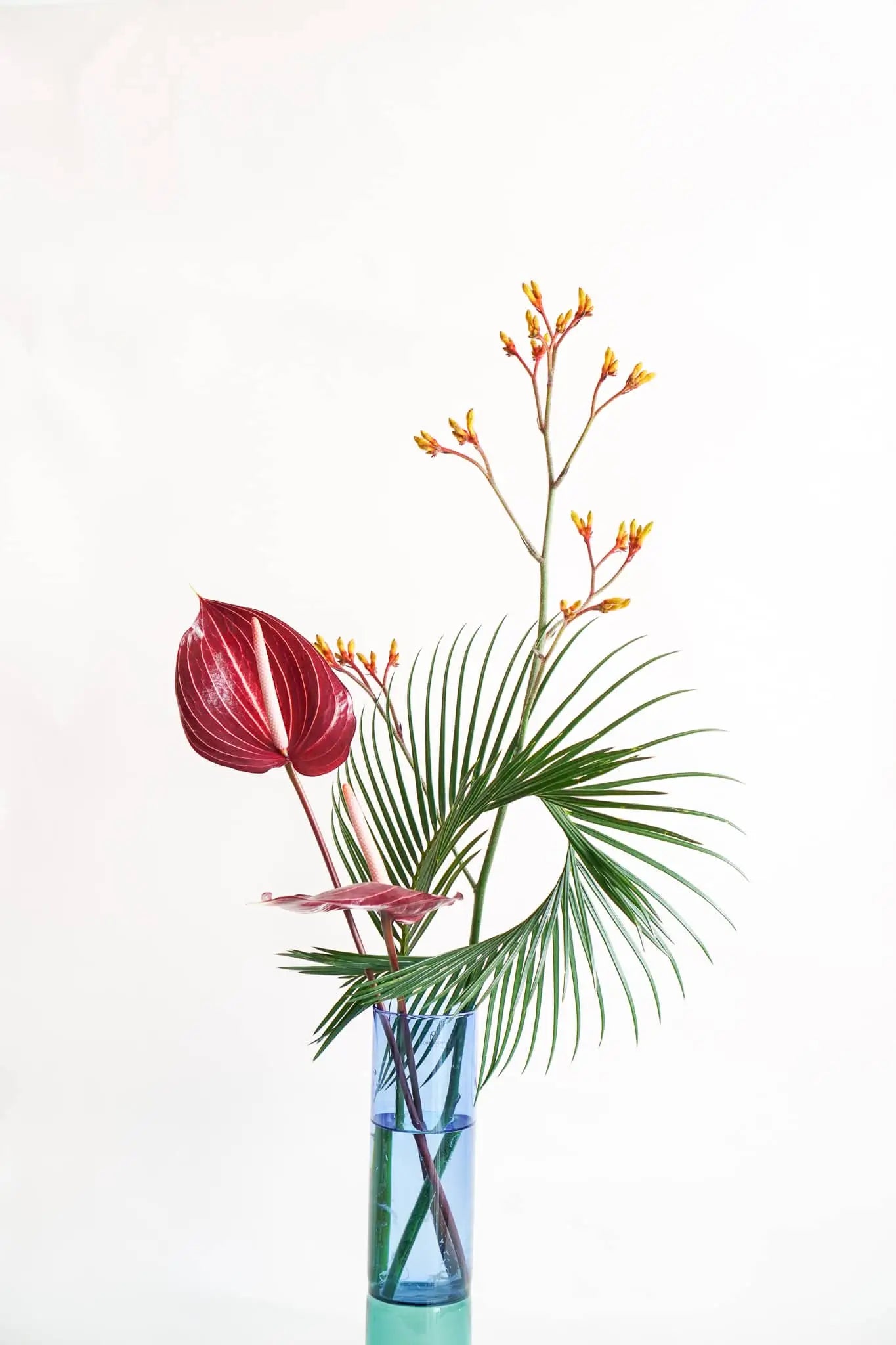 The Wonderland Botanicals Bamboo Groove Vase Arrangement features red anthuriums, yellow kangaroo paw flowers, and a large green palm leaf in a handmade glass vase by Wonderland Botanicals.