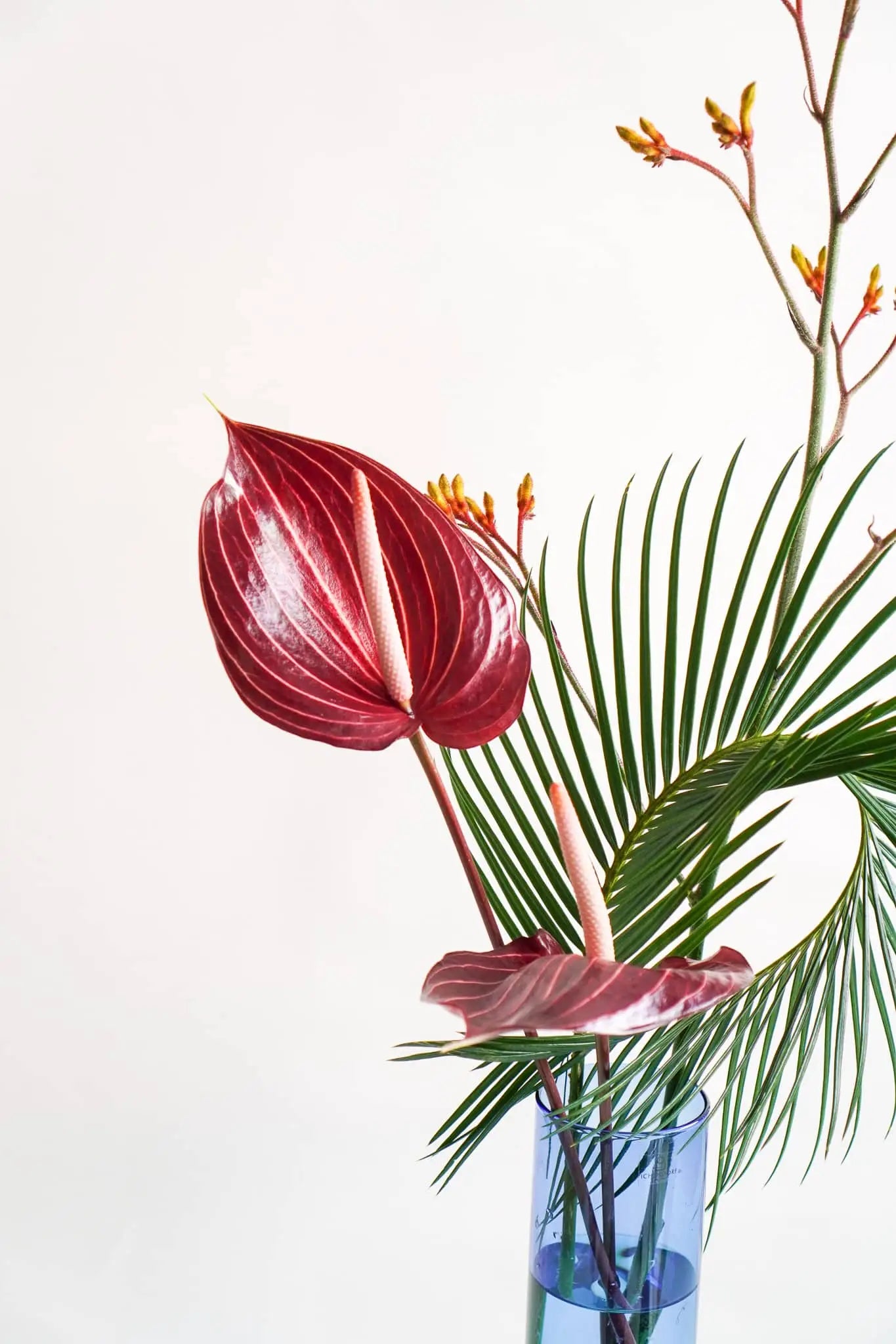 The Wonderland Botanicals Bamboo Groove Vase Arrangement showcases two dark red anthuriums, a green palm leaf, and yellow budding branches in a handmade glass vase by Wonderland Botanicals.