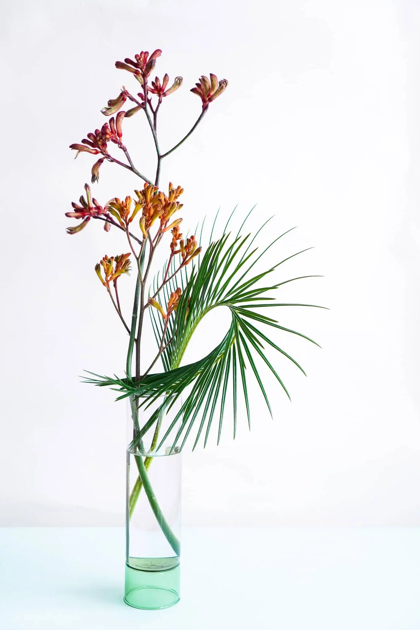 The Wonderland Botanicals Bamboo Groove Vase Arrangement features red and yellow kangaroo paw flowers with a green palm leaf in a clear vase—perfect for adding striking texture to modern home decor.