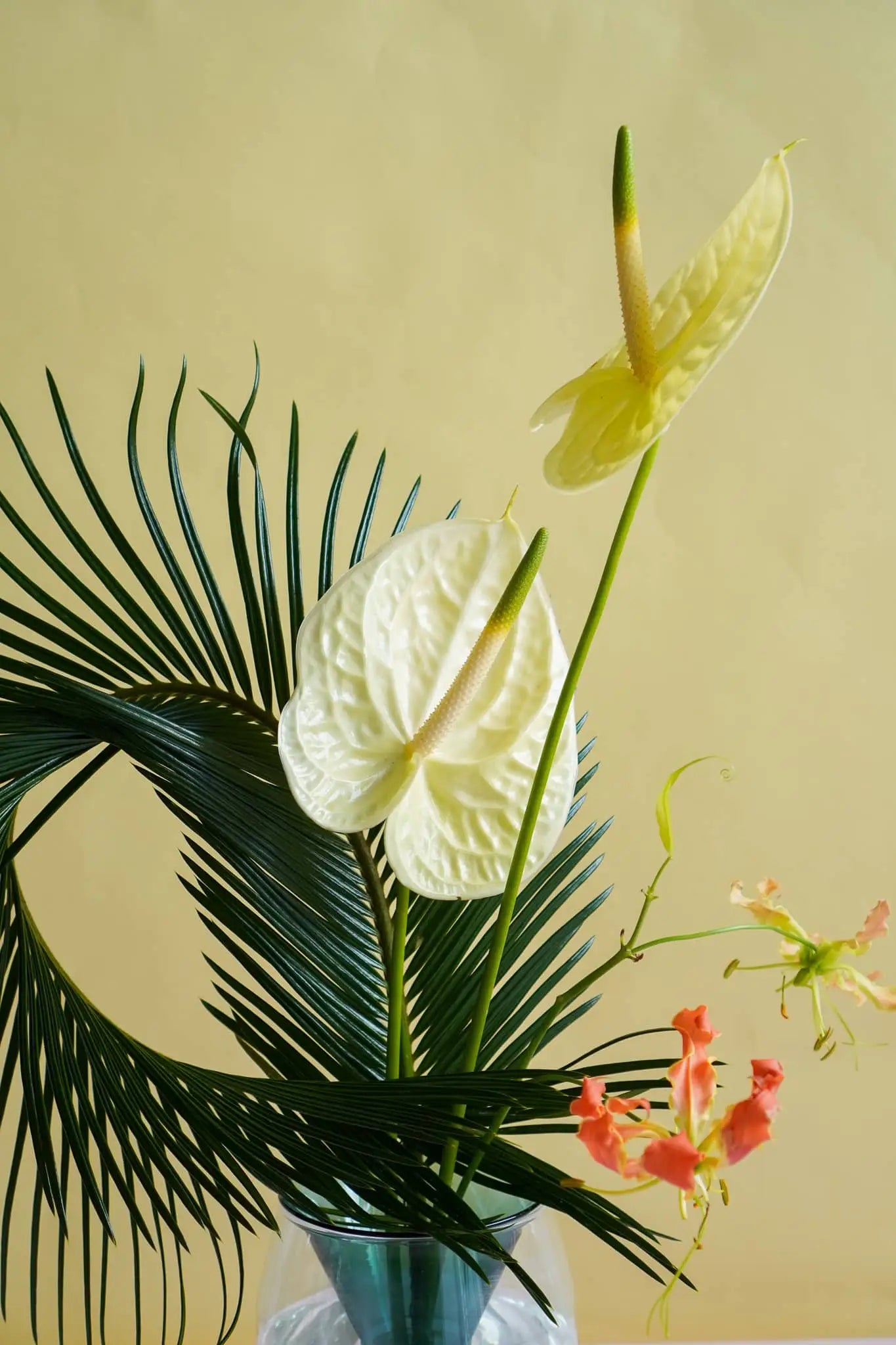 The Wonderland Botanicals Kado Vase Arrangement features dark green palm leaves, pale yellow anthuriums, and orange-yellow blooms in a designer vase—a stunning Wonderland Botanicals collaboration.