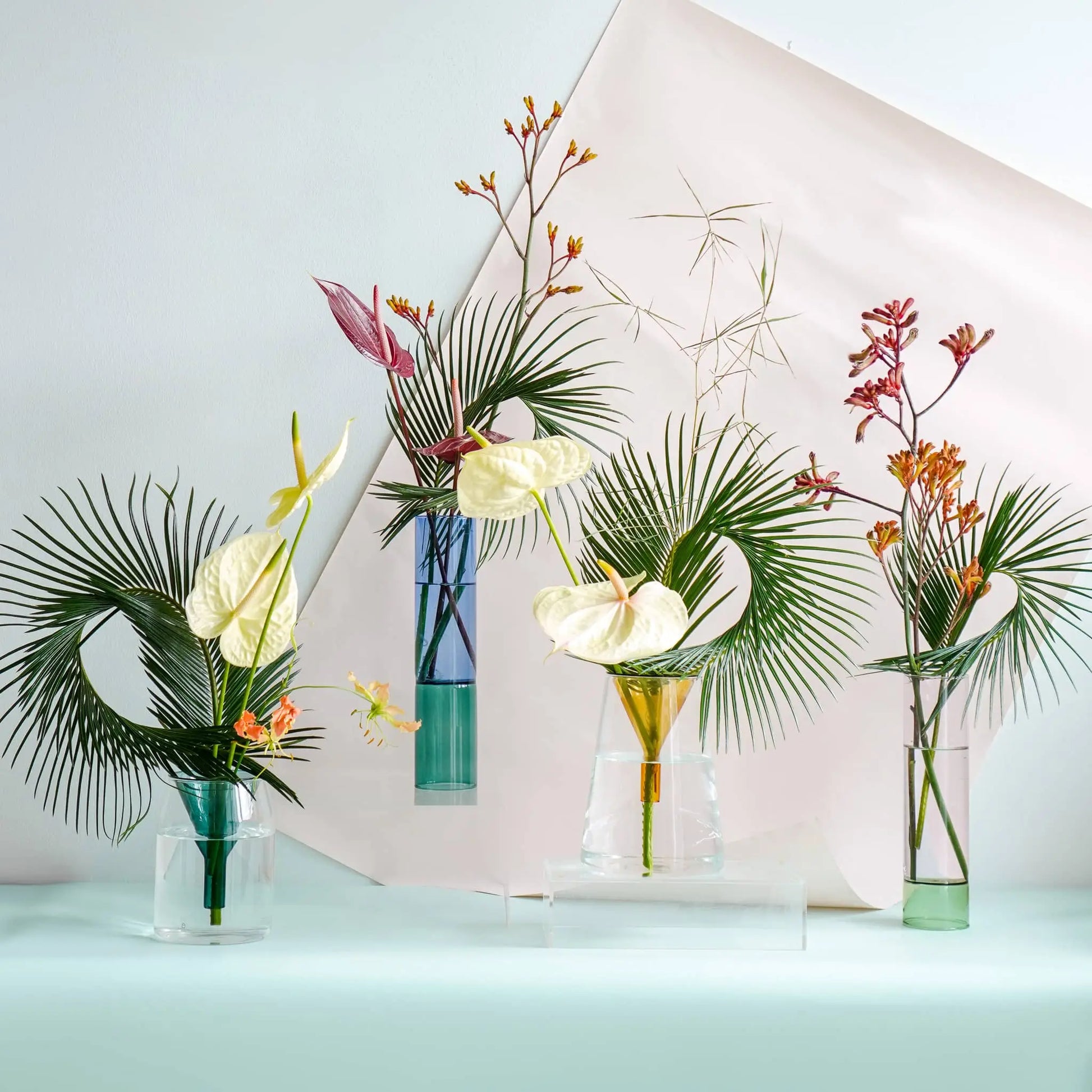 Four modern glass vases, including the Wonderland Botanicals Kado Vase Arrangement from the Wonderland Botanicals Collaboration, showcase artistic floral displays with palm leaves, white anthuriums, and orange blooms set against a pastel geometric backdrop.
