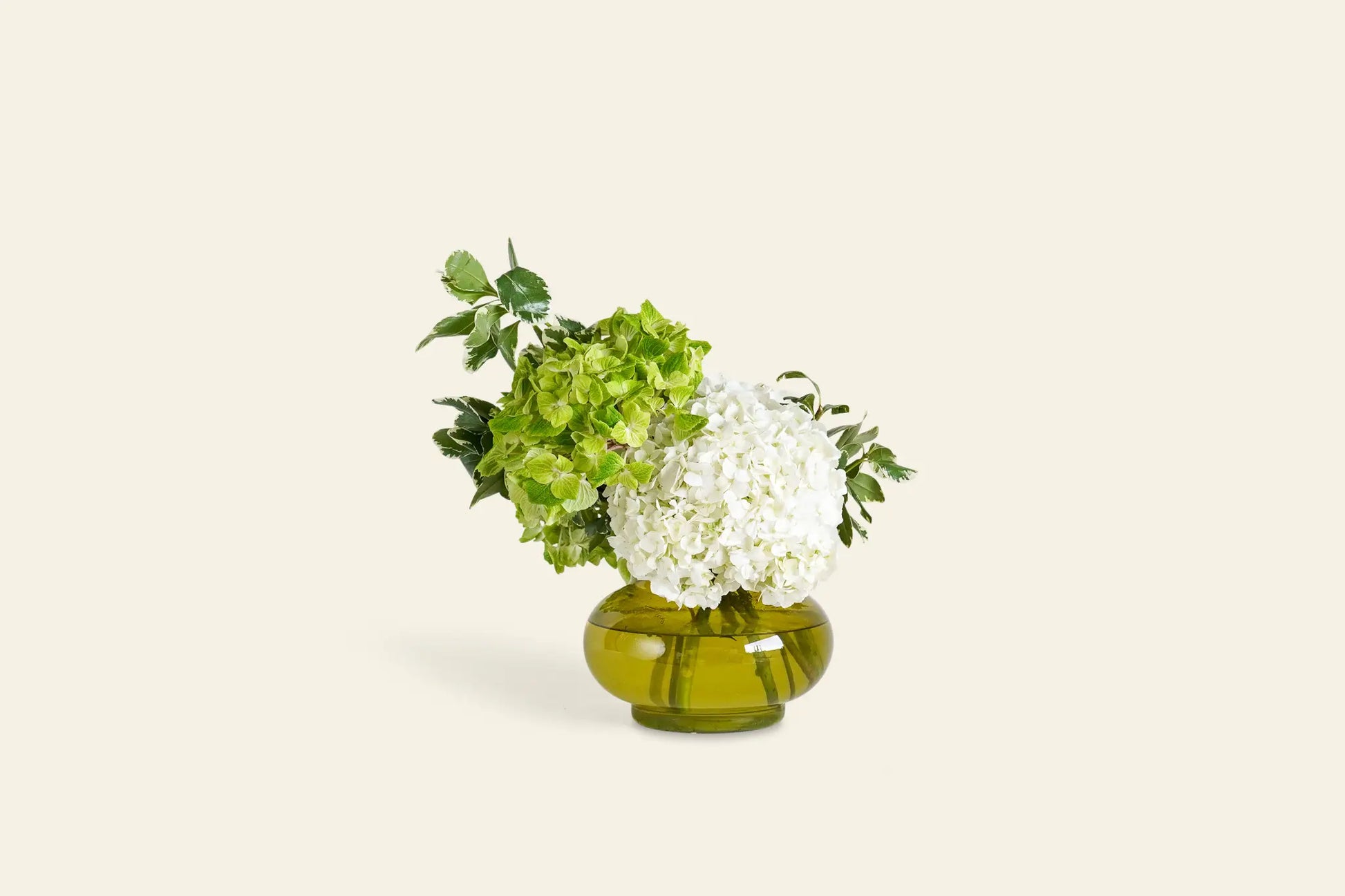 The Olive vase from Wonderland Botanicals holds a green and a white hydrangea with leafy greens, set against a plain cream background.