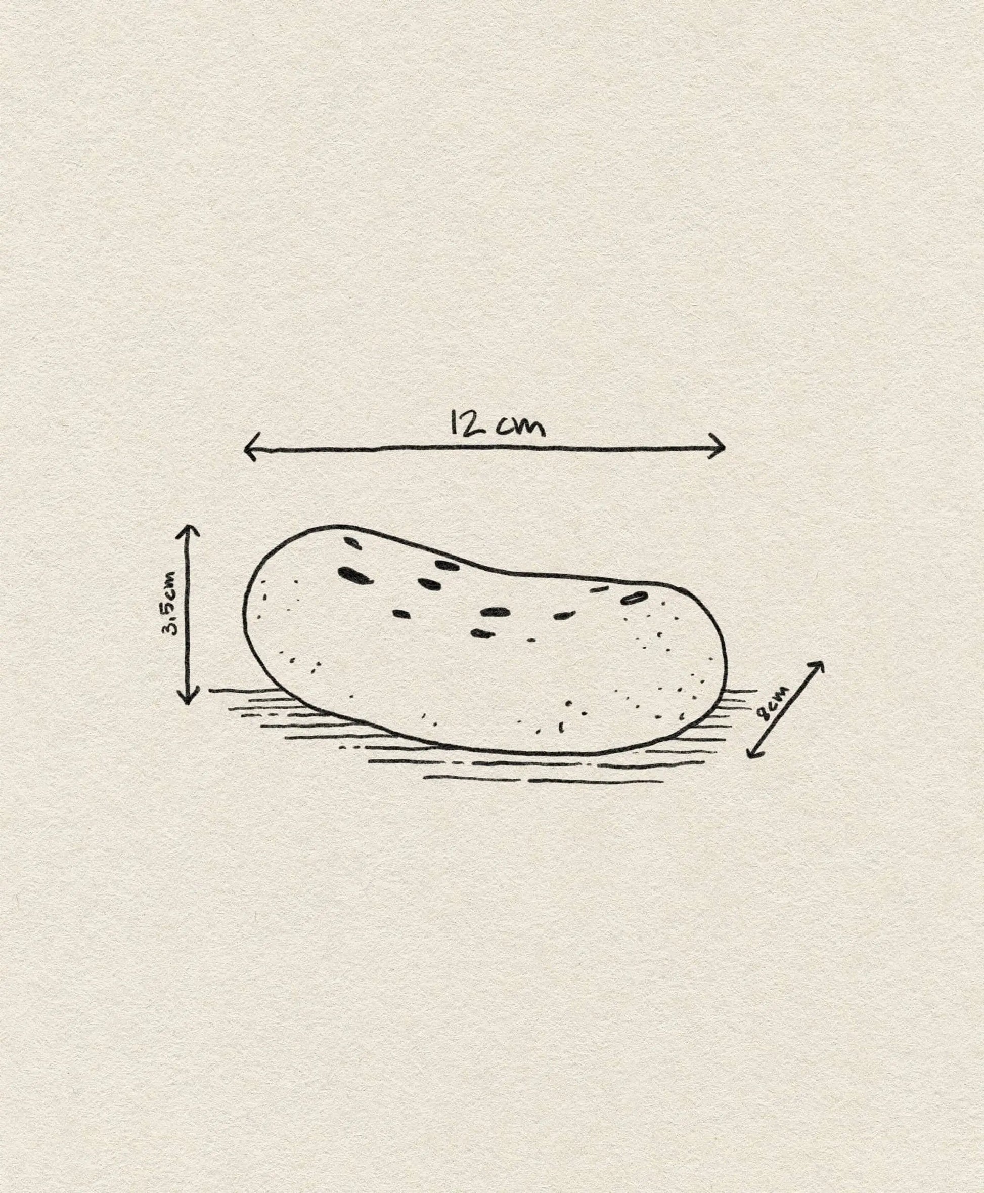 The ferm LIVING Vanitas Flower Stone by ferm LIVING is a black and white sketch of an oval object with small dots, measuring 12 x 5.5 x 3.5 cm, shown with hand-drawn arrows for each dimension—ideal as a glazed porcelain accent in modern spaces.