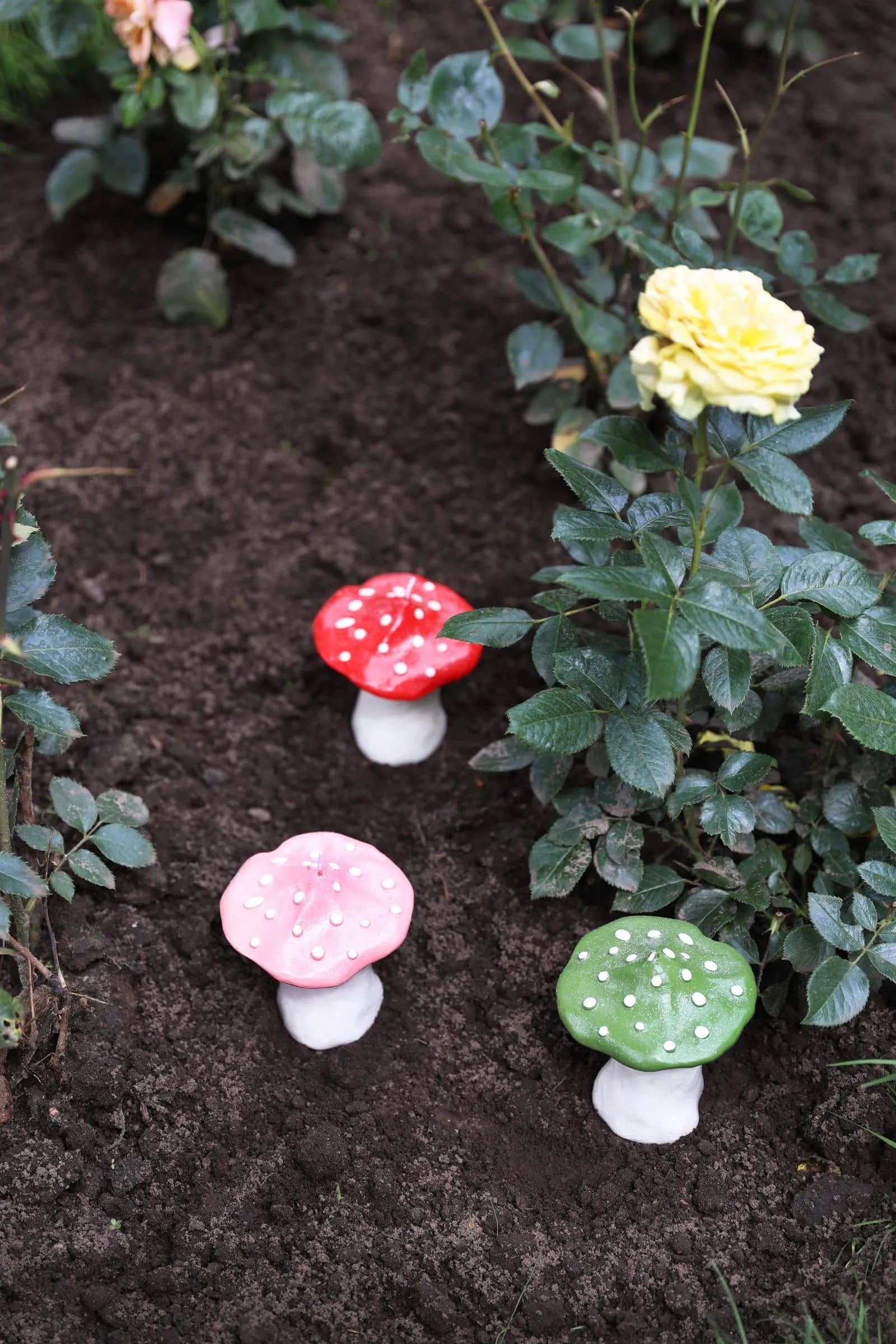 Three colorful &klevering Dots Mushroom Candles—red, pink, and green—stand in dark soil among rose bushes with a blooming yellow rose nearby, creating an enchanting garden ambiance.