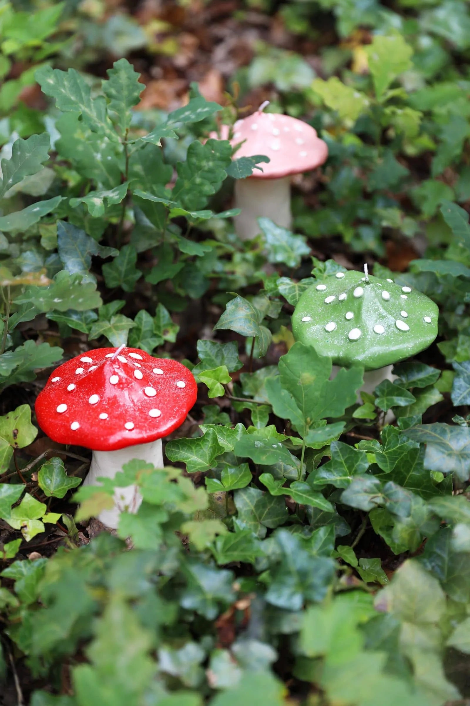 The &klevering Dots Mushroom Candles in red, pink, and green with white spots by &klevering nestle among ivy, casting a long-lasting glow and bringing an enchanting ambiance to any space.