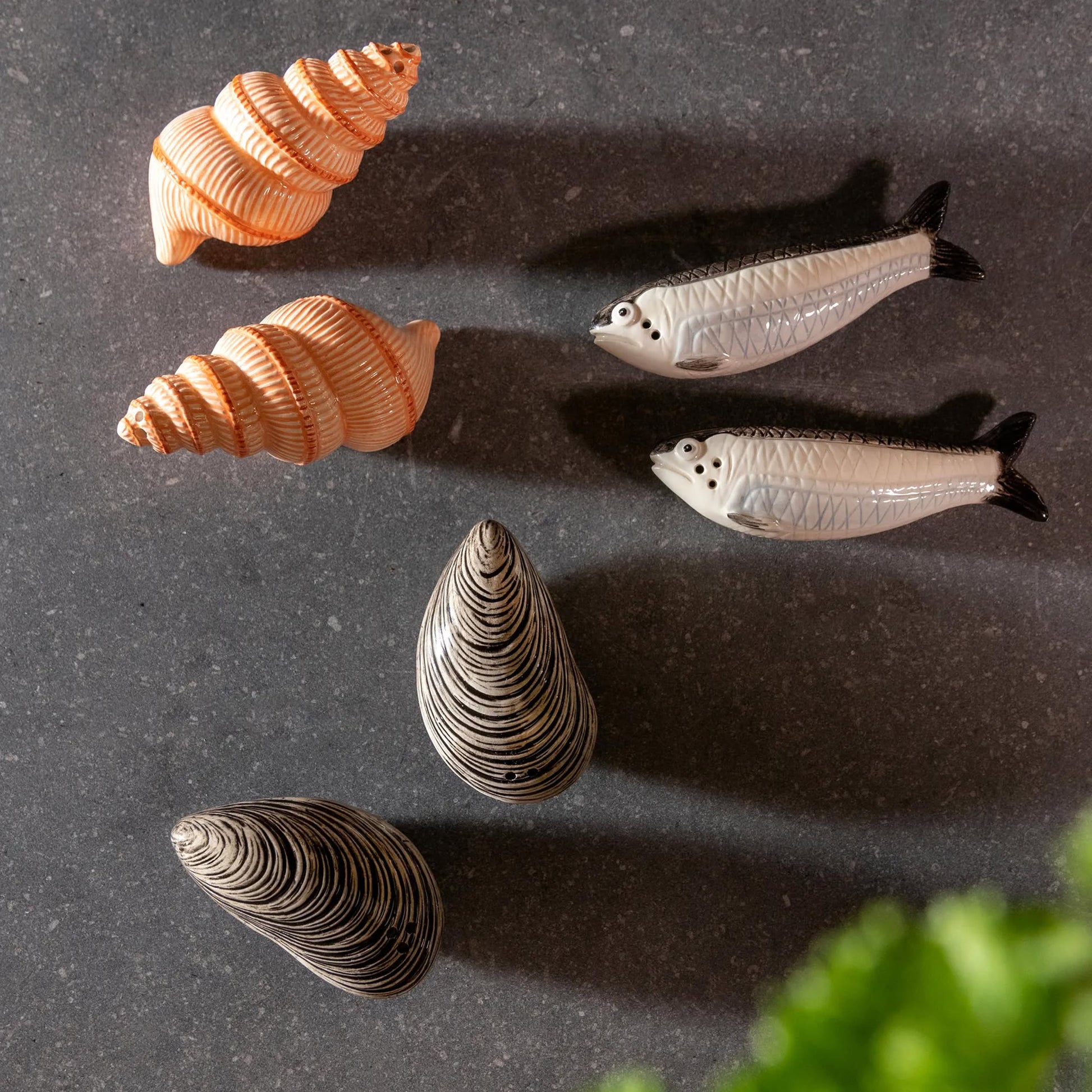 &klevering Mussel Salt & Pepper Set
