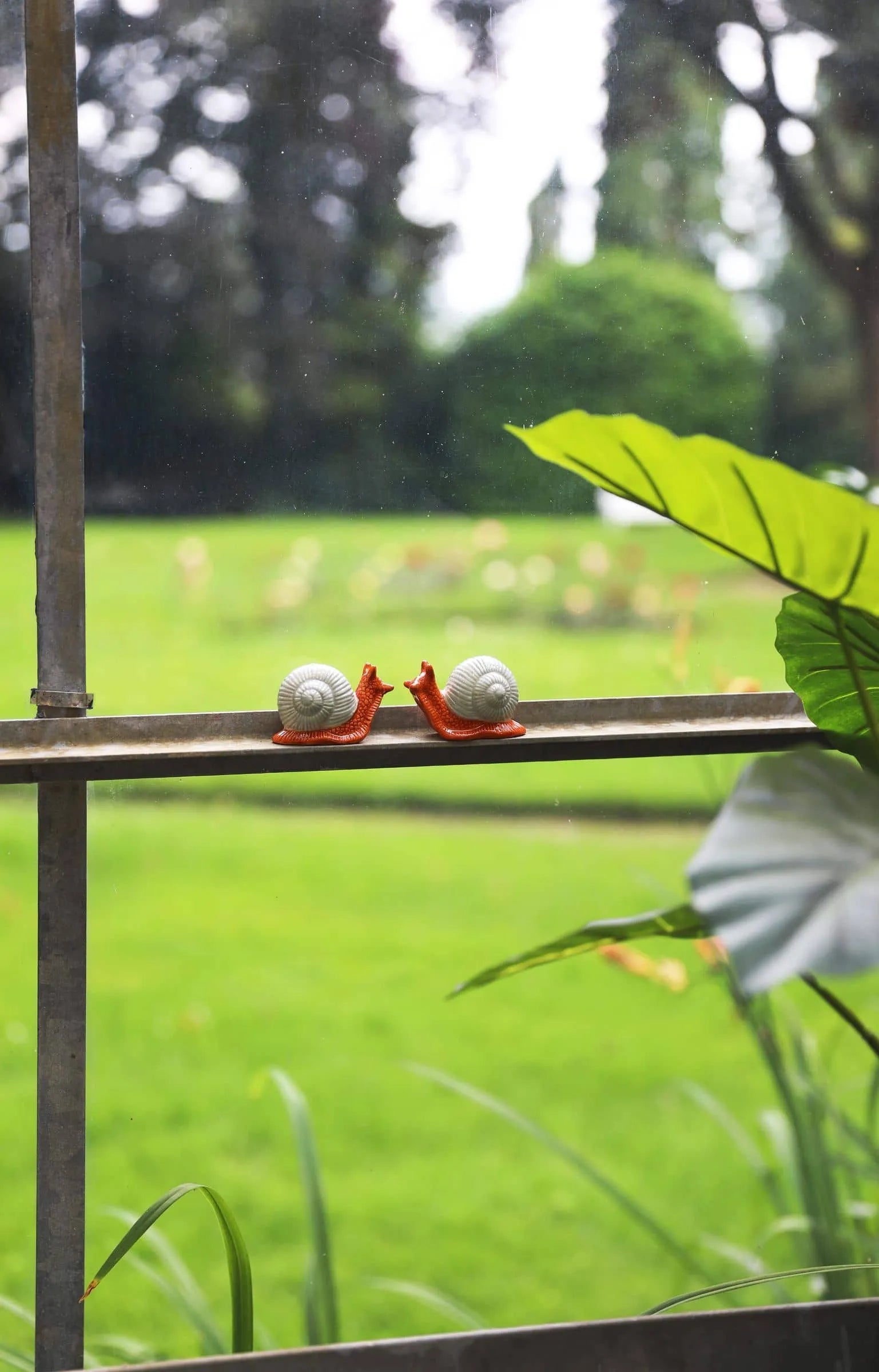 The &klevering Snail Salt & Pepper Set by &klevering features two whimsical snail-shaped shakers with white shells and orange bodies, displayed on a metal rail by a window framed with leafy greenery.