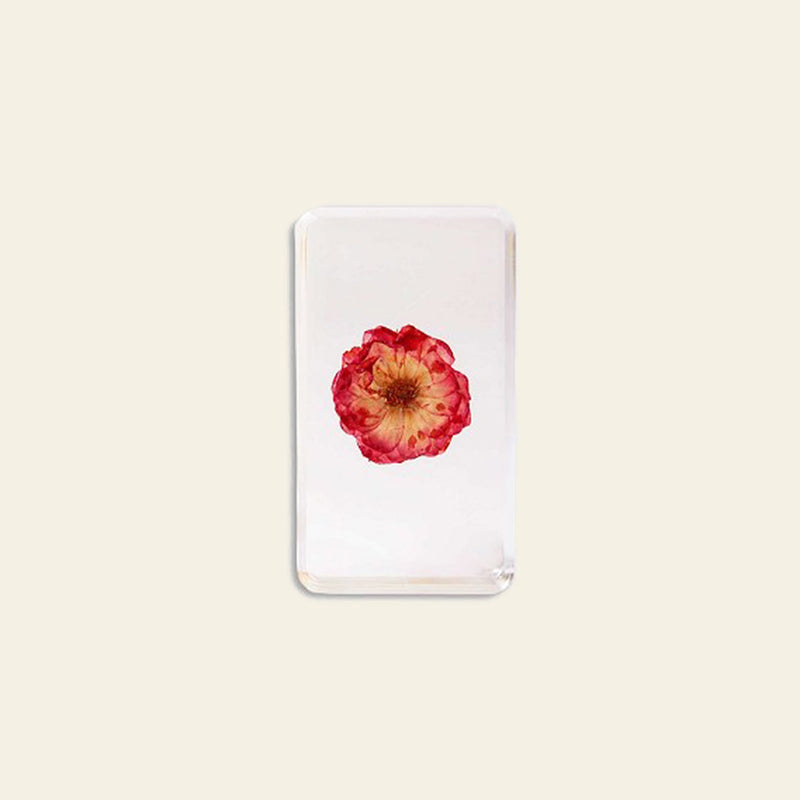 &klevering Wildflower Cube Resin Display Large