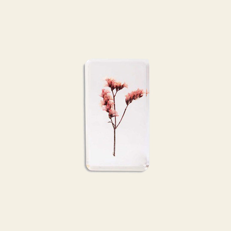 &klevering Wildflower Cube Resin Display Large