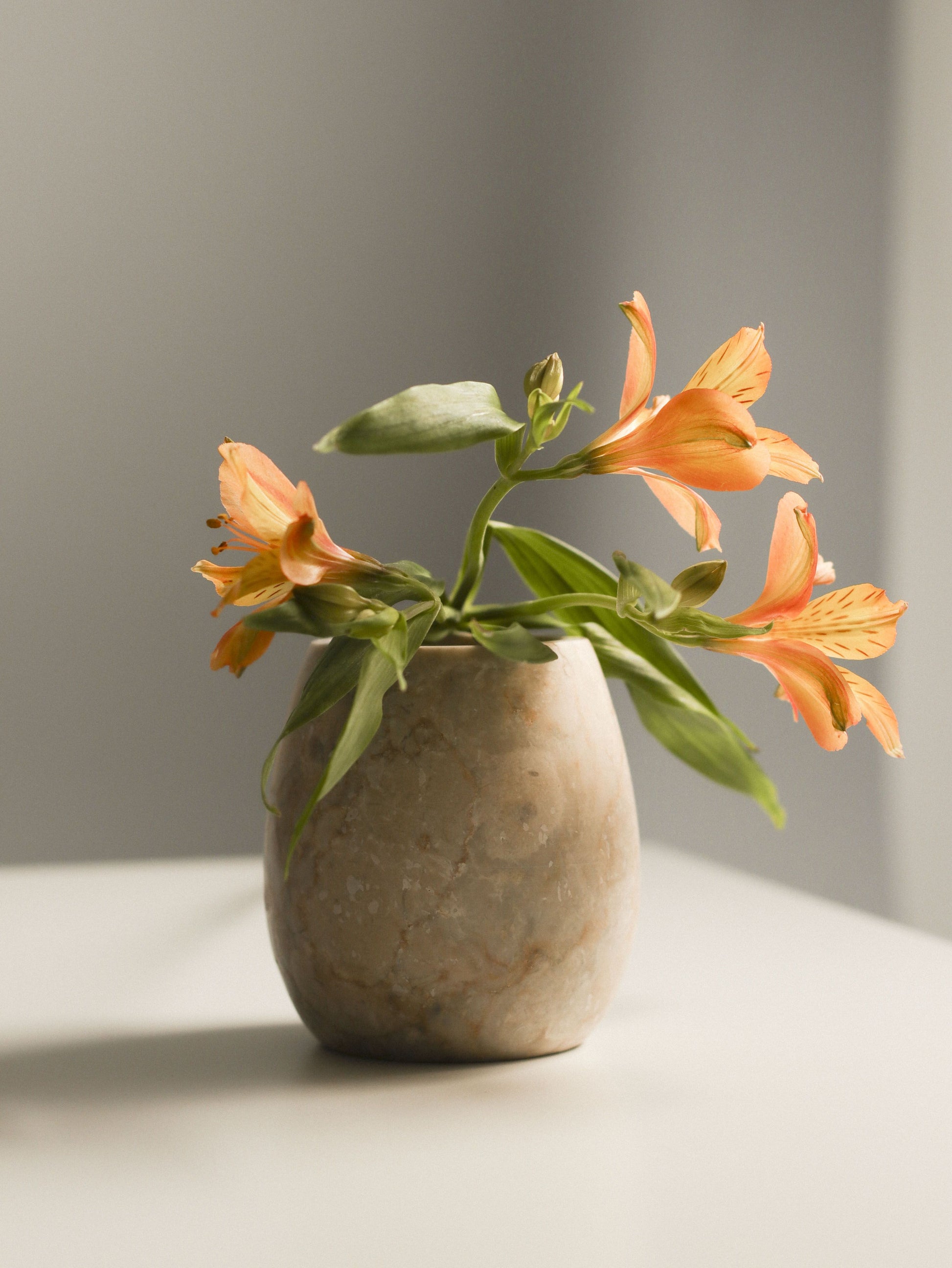 The stillgoods Ecru Jar, adorned with orange flowers and green leaves, rests on a white surface bathed in soft natural light from the right—a charming and versatile organizer from stillgoods for any space.
