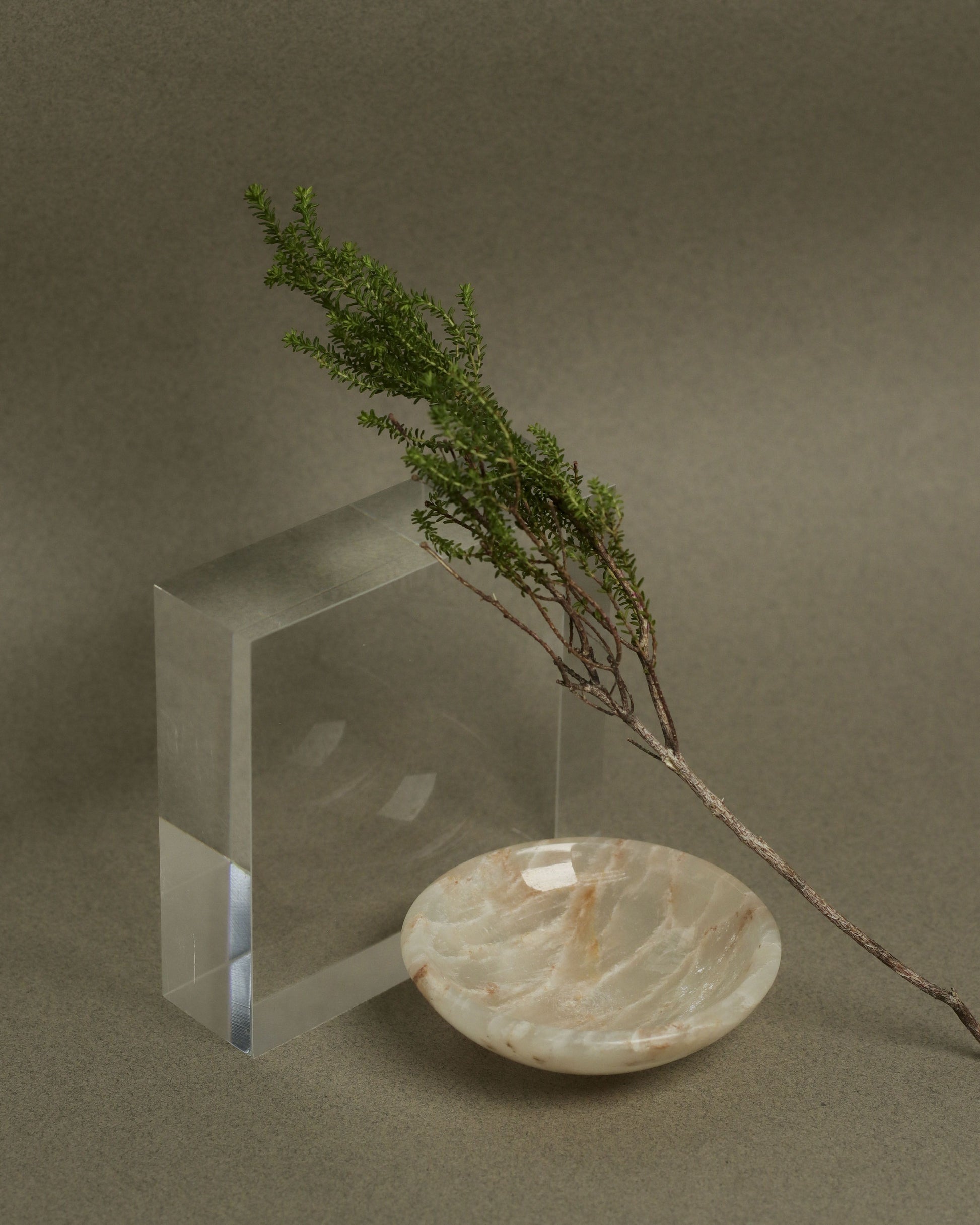 A small branch with green leaves rests on a round stillgoods Luna Dish in black marble, placed beside a clear rectangular acrylic block, all set against a neutral gray background.