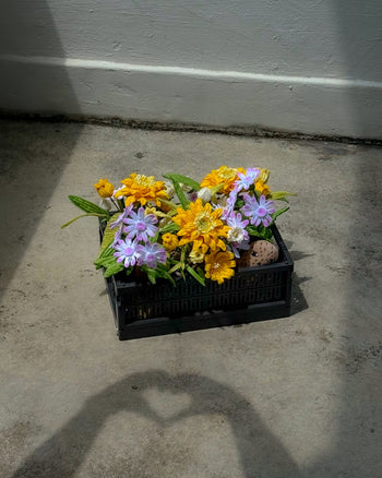 Ah!GUGU x Stacked Store Still Life in Bloom - Handcrafted Flowers