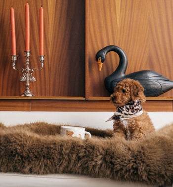 Anna + Nina Labradoodle Mug