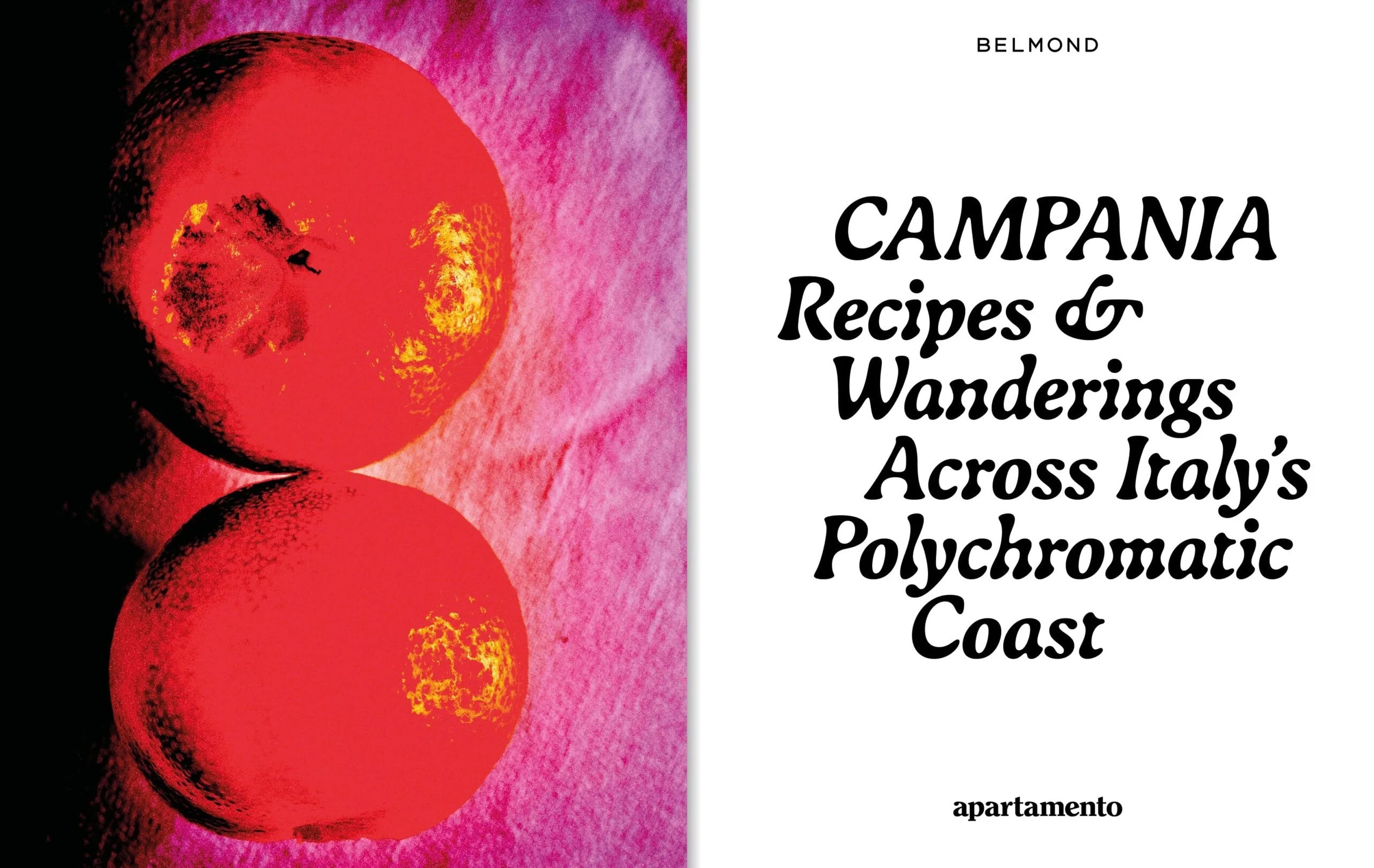 Apartamento CAMPANIA: Recipes & Wanderings Across Italy's Polychromatic Coast