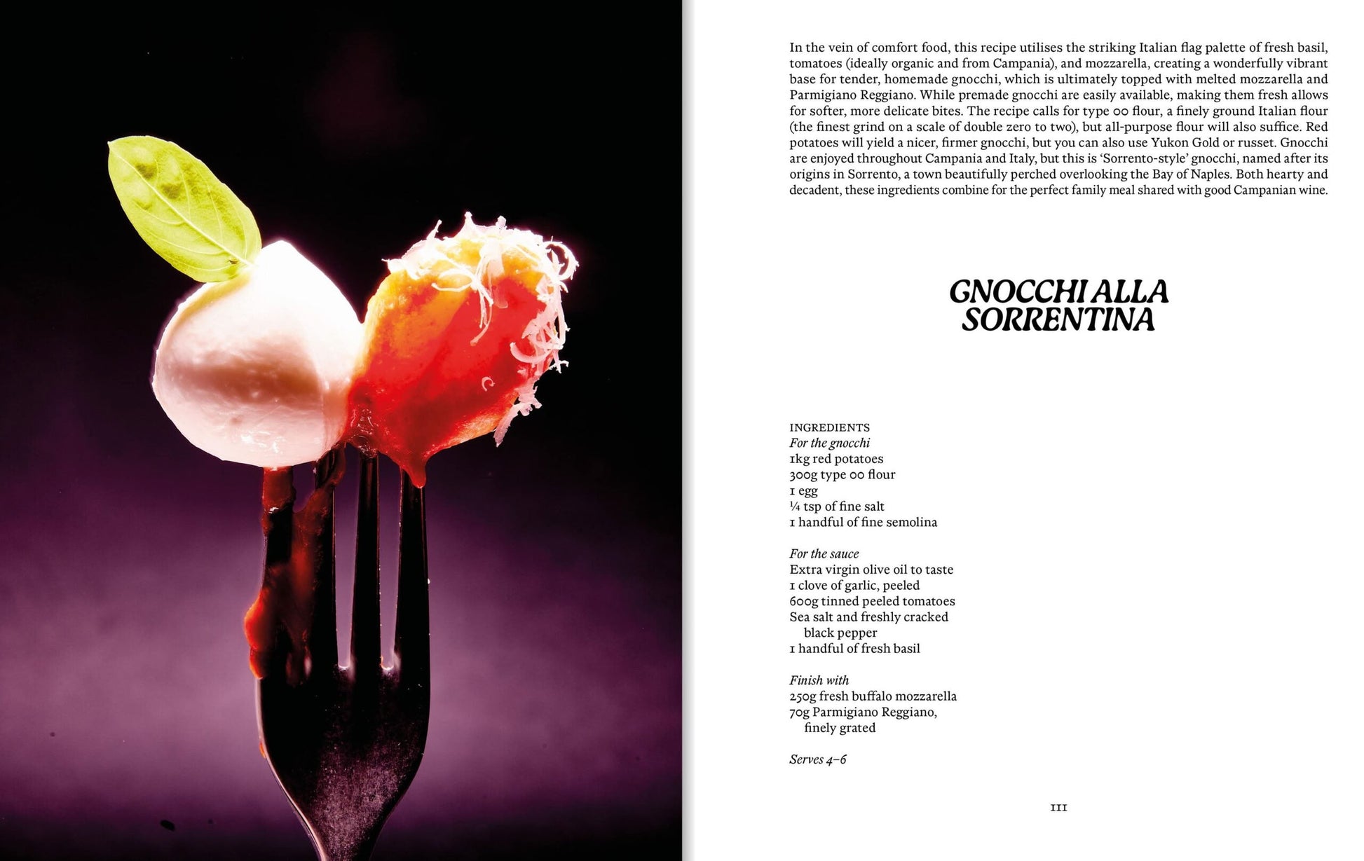 Apartamento CAMPANIA Recipes & Wanderings Across Italy's Polychromatic Coast