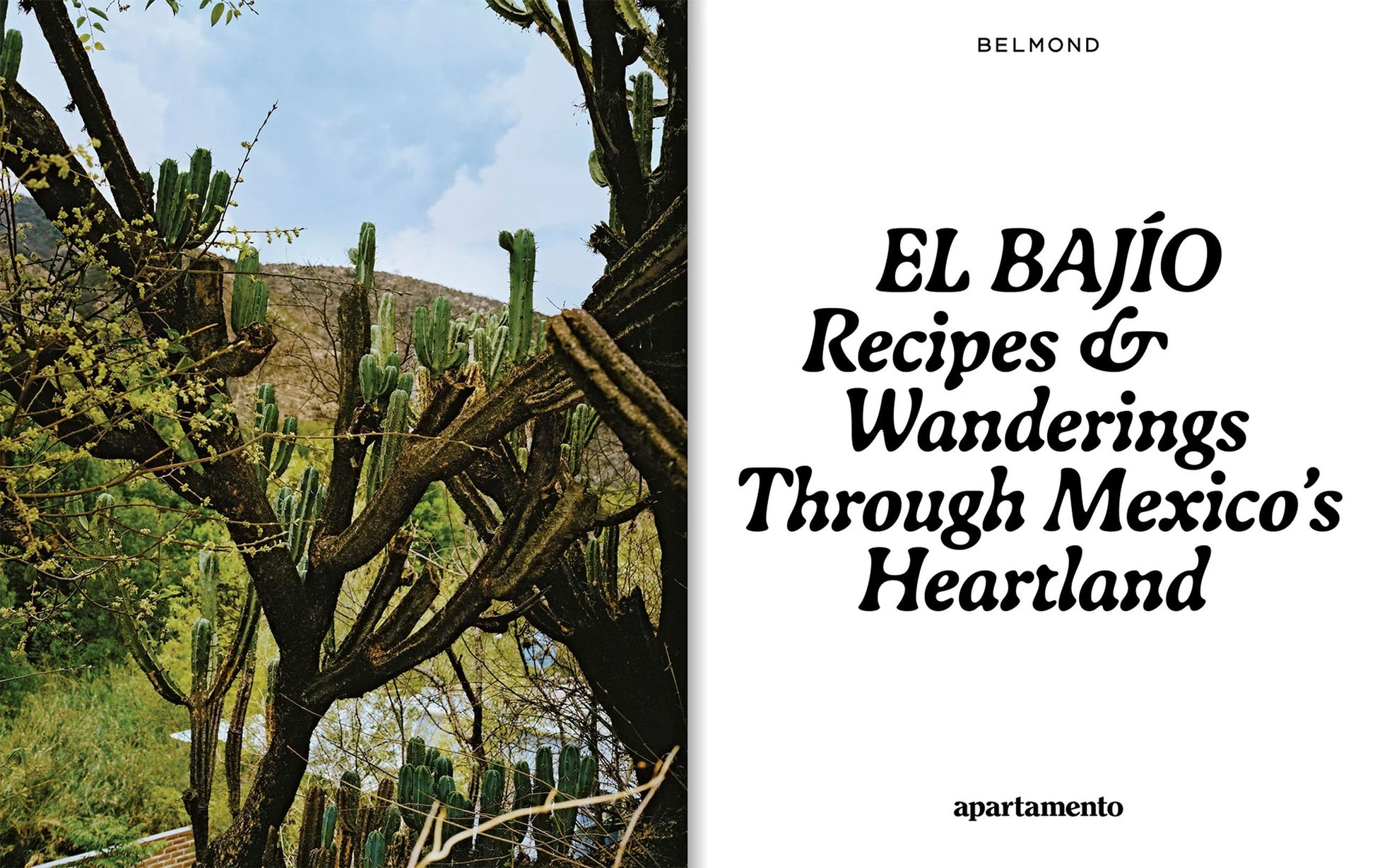 Apartamento EL BAJÍO Recipes & Wanderings Through Mexico's Heartland