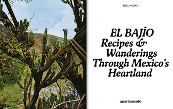 Apartamento EL BAJÍO Recipes & Wanderings Through Mexico's Heartland