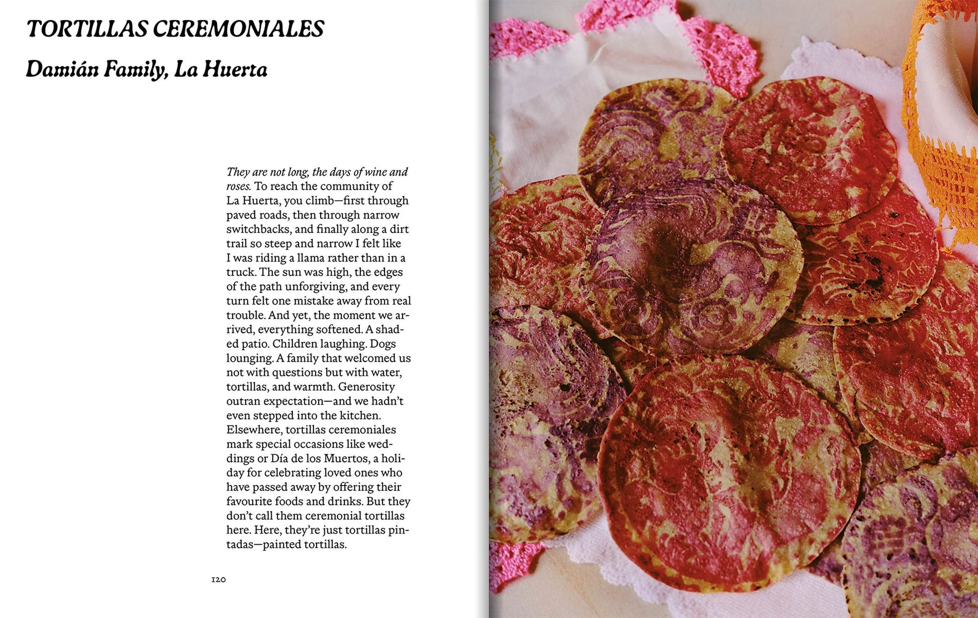 Apartamento EL BAJÍO Recipes & Wanderings Through Mexico's Heartland