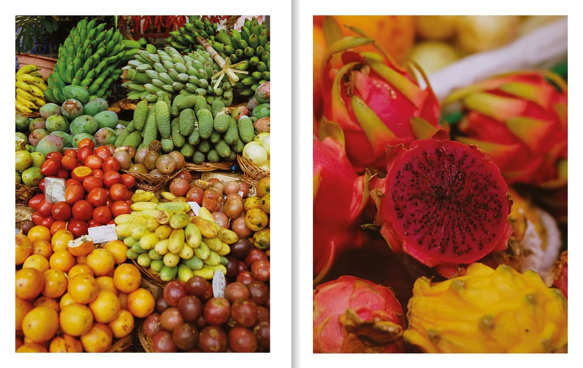 Apartamento MADEIRA Recipes & Wanderings on the Atlantic Island of Eternal Spring
