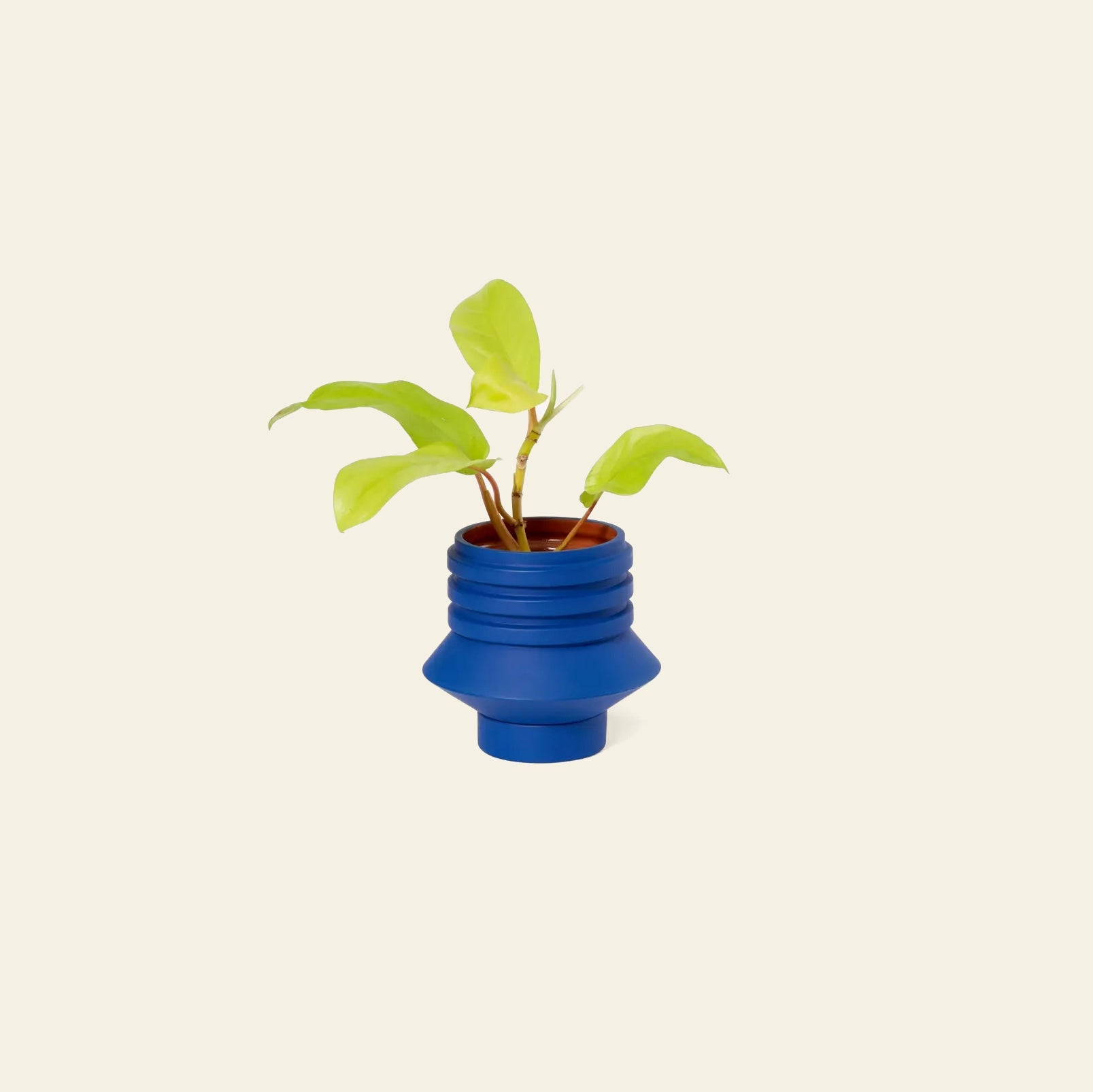 Areaware Strata Plant Vessel Blue