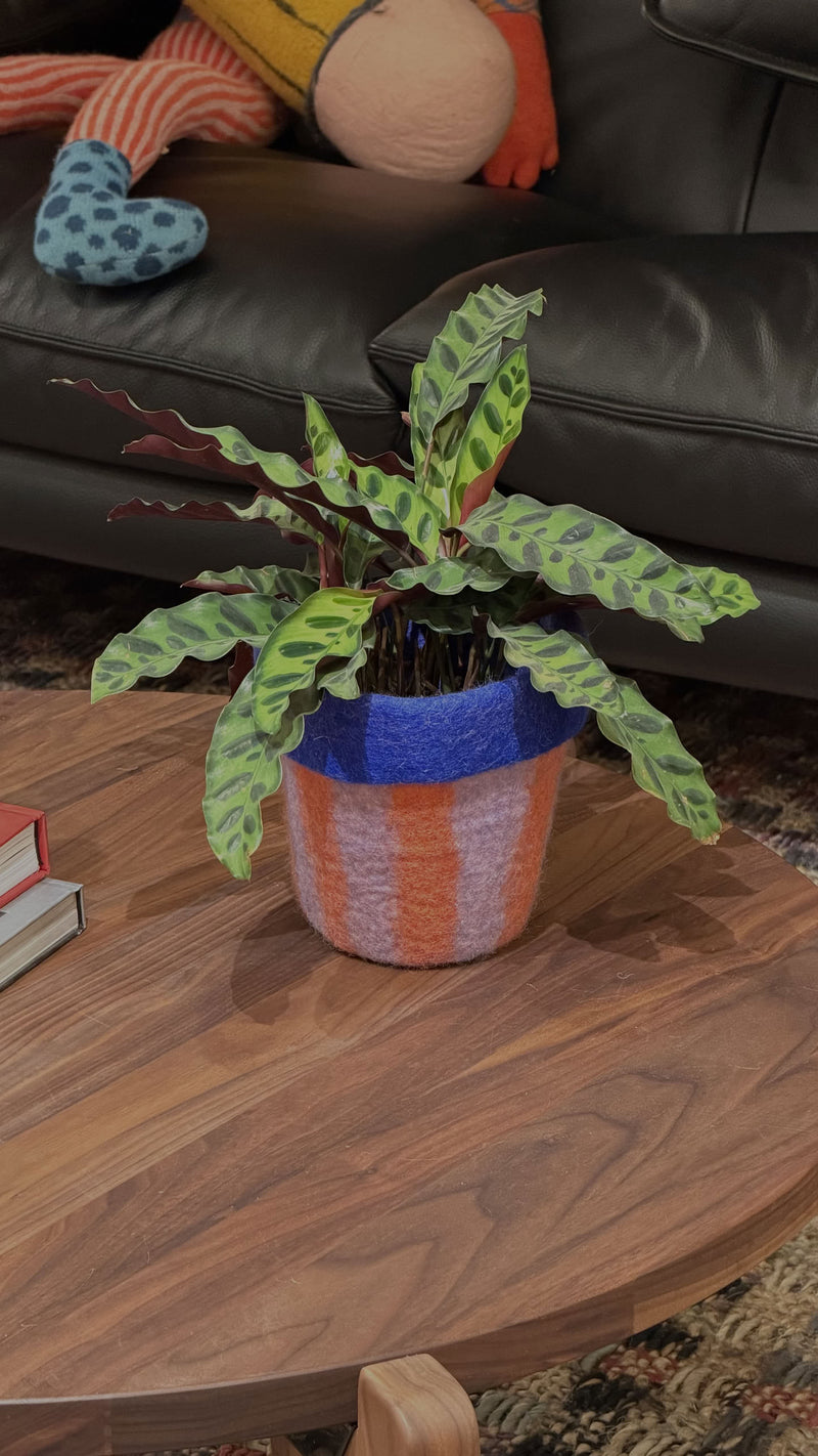 Aveva Design Flower Pot 20, M
