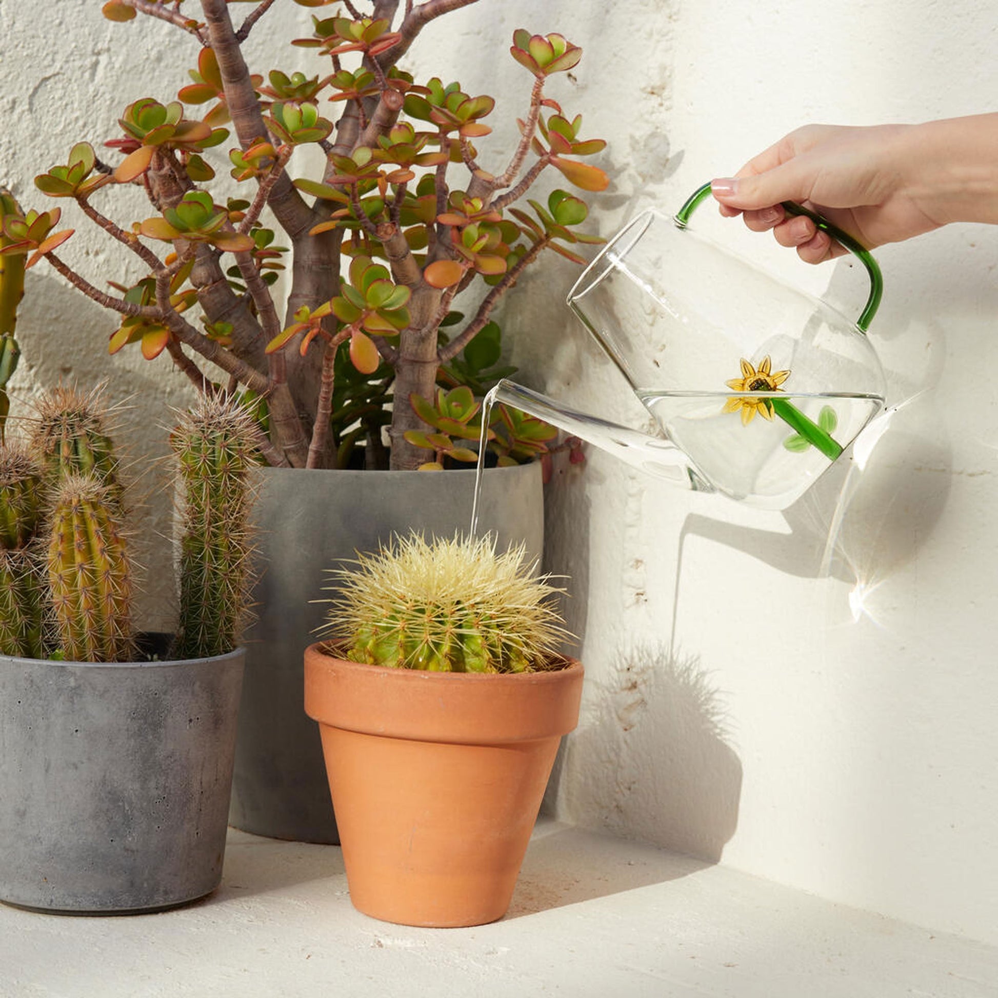 Balvi Botanical Sunflower Watering Can
