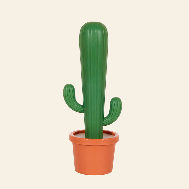 Balvi Cactus Dish Brush