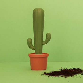 Balvi Cactus Dish Brush
