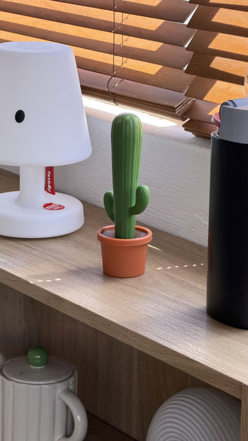 Balvi Cactus Dish Brush