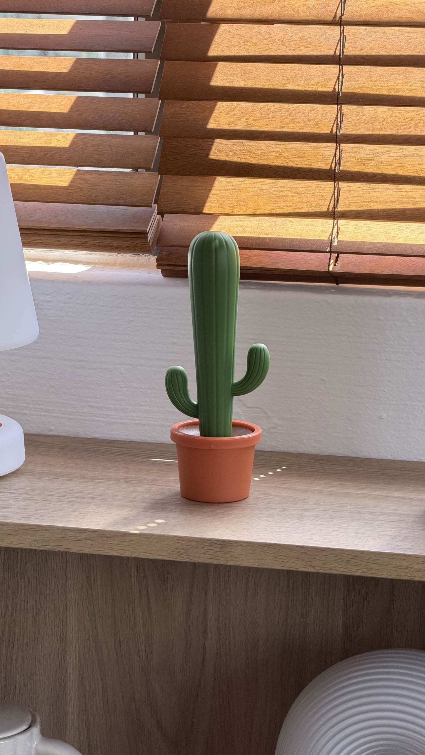Balvi Cactus Dish Brush
