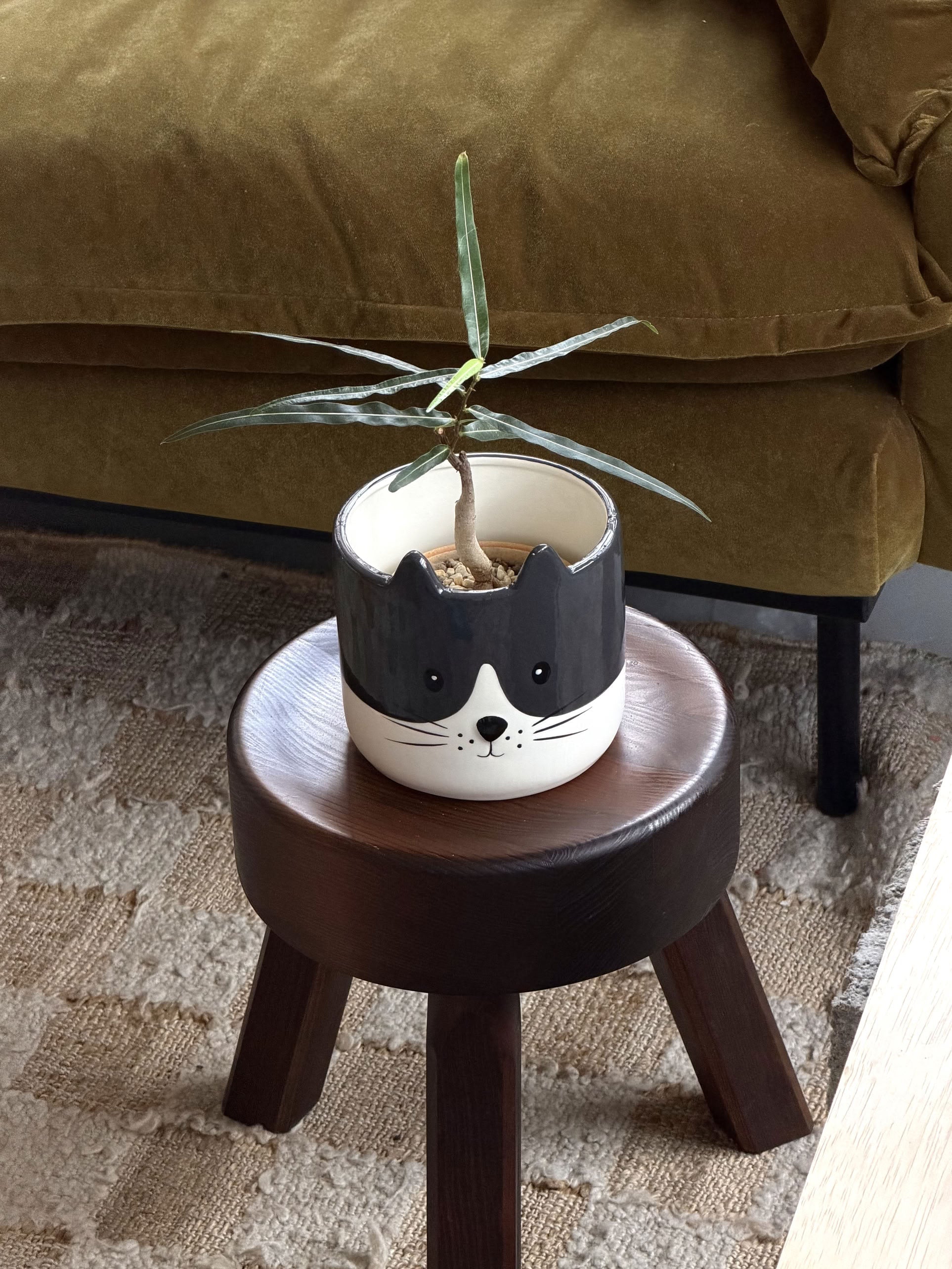 Balvi Kitty Plant Pot