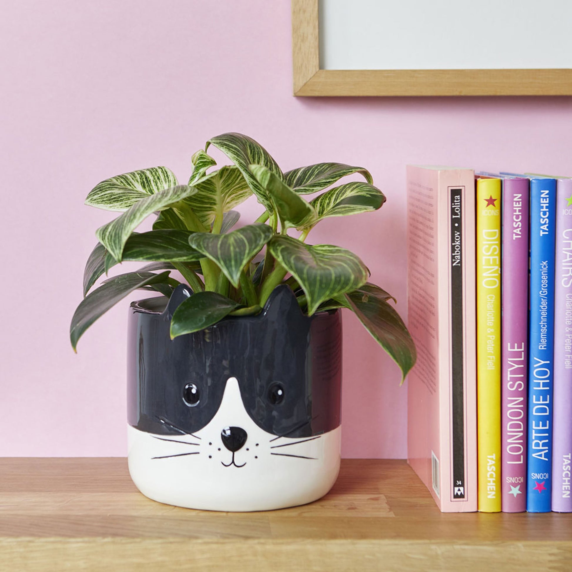 Balvi Kitty Plant Pot