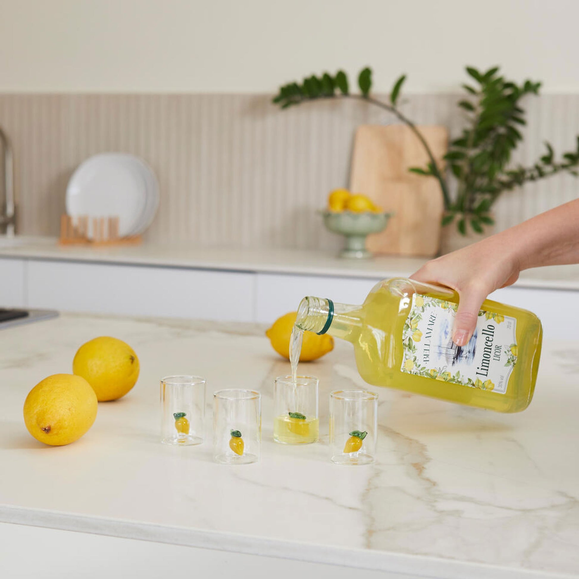 Balvi Lemon Shot Glasses Set of 4