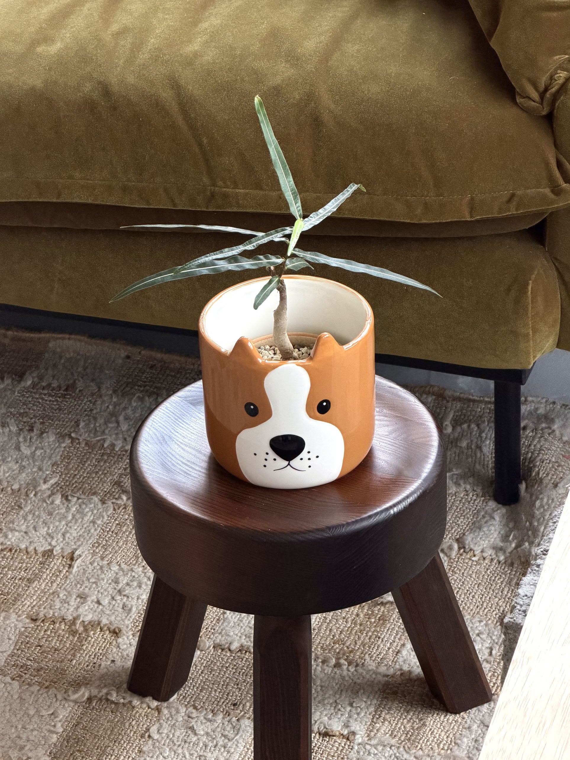Balvi Woof! Plant Pot