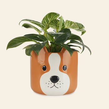 Balvi Woof! Plant Pot