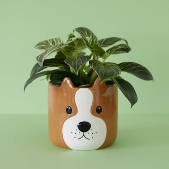 Balvi Woof! Plant Pot