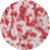 Bright Red