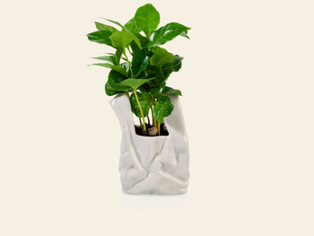 Bitten I Am Not A Plastic Bag Small
